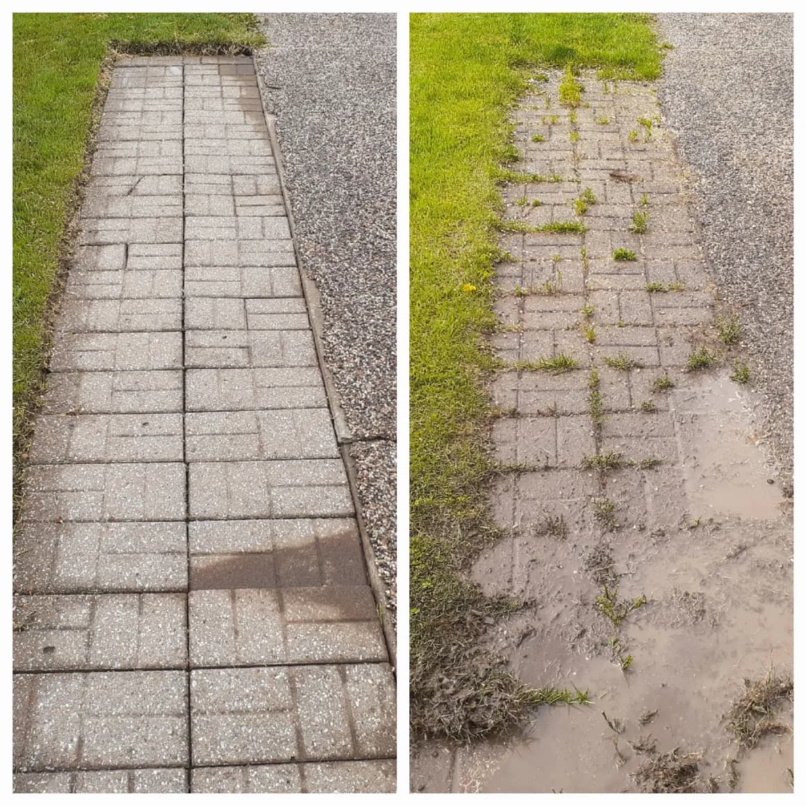 Paver walkway: after cleaning on the left, before cleaning on the right