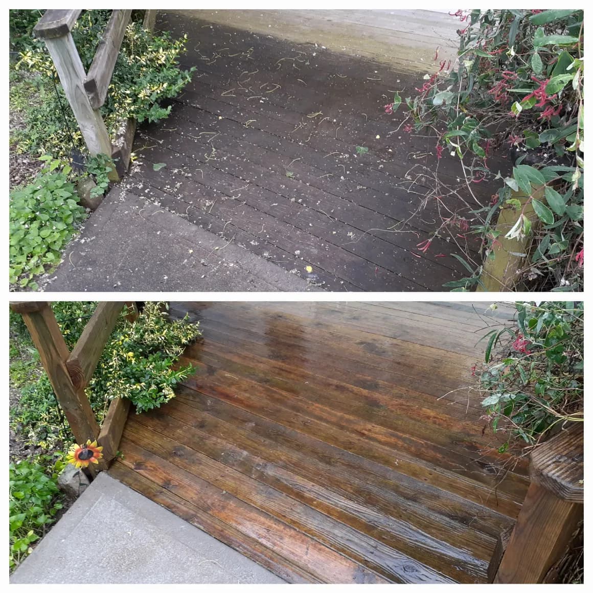 Wood steps & landing: before cleaning at the top, after cleaning at the bottom